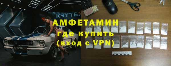прущие грибы Саяногорск