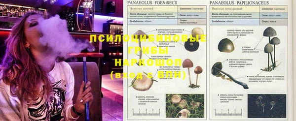 альфа пвп Алзамай