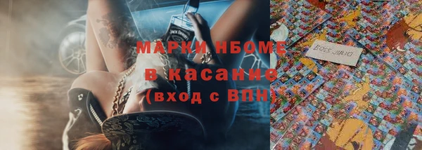 прущие грибы Саяногорск