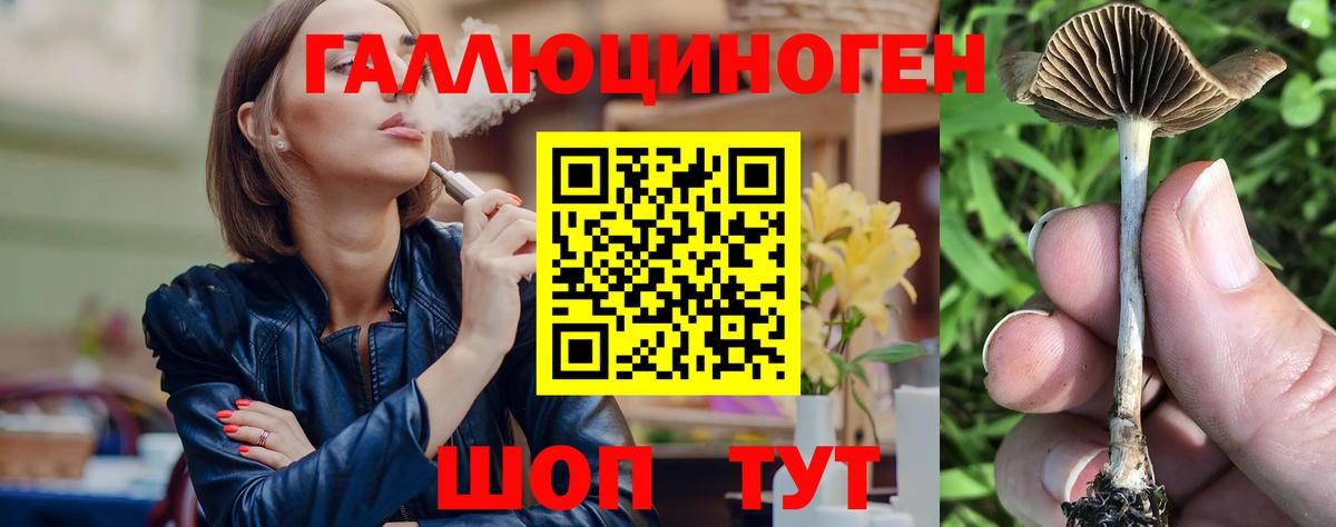 Галлюциногенные грибы ЛСД Лесосибирск